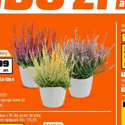 Wrzos Garden Girls