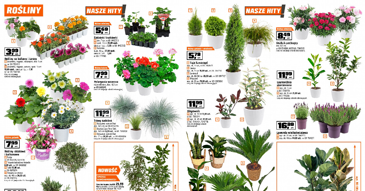 Klej za 1 zł, grill 400 zł taniej i pergola prawie za połowę — TOP promocje z gazetki OBI, które znikną najszybciej