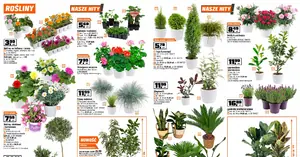 Klej za 1 zł, grill 400 zł taniej i pergola prawie za połowę — TOP promocje z gazetki OBI, które znikną najszybciej