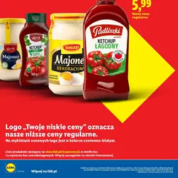 Pudliszki Ketchup