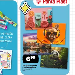 Teczka na gumkę z polipropylenu
