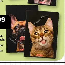 Zeszyt A4 60 kartek Crazy Animals