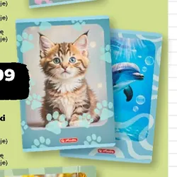 Zeszyt A4 32 kartki Animals
