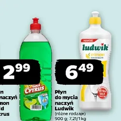 Płyn do mycia naczyń Ludwik