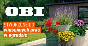 Szansa raz na sezon: kosiarka spalinowa 3w1 z napędem za 999 zł — czy to najlepsza oferta w gazetce?