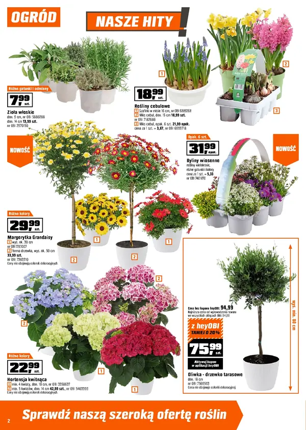 Strona 2 gazetki Obi