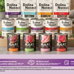 Karma dla psa mokra Rafi