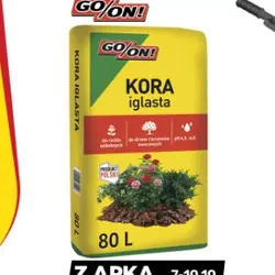 Kora iglasta GO/ON!