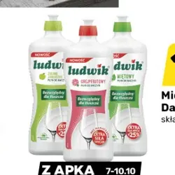Płyn do mycia naczyń Ludwik
