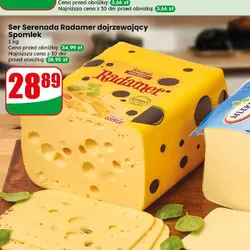 Ser Serenada Radamer dojrzewający