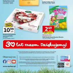 Kompozycja herbatek owocowych Bifix