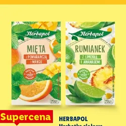 HERBAPOL Herbatka ziołowa