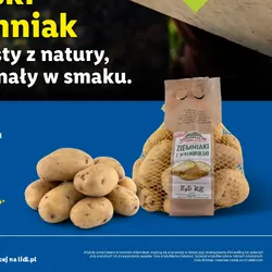 Polskie ziemniaki jadalne z Wielkopolski