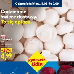 Polskie pieczarki