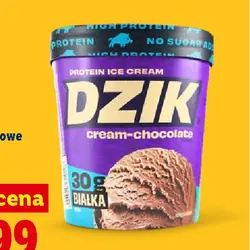 WK DZIK Lody proteinowe