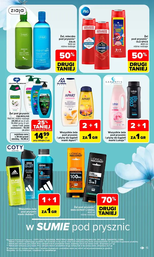 Strona 15 gazetki Carrefour