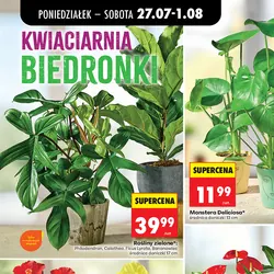 Rośliny zielone