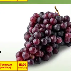 Winogrono ciemne