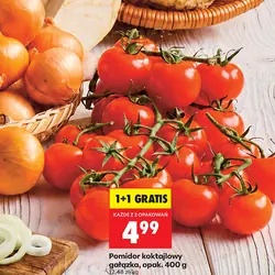 Pomidor koktajlowy gałązka