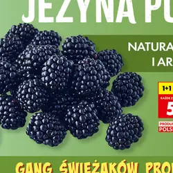 Jeżyna polska