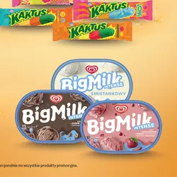 Lody familijne Big Milk
