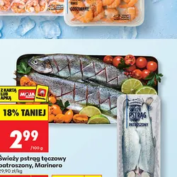 Świeży pstrąg tęczowy patroszony