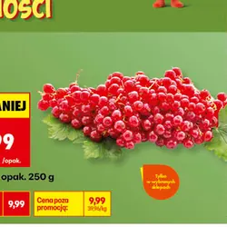 Porzeczki