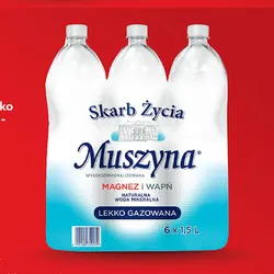Woda mineralna lekko gazowana Muszyna - Skarb Życia