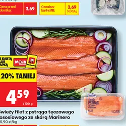 Świeży filet z pstrąga tęczowego łososiowego ze skórą