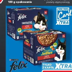 Felix karma dla kotów