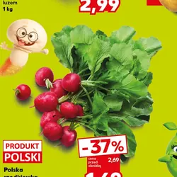 Polska rzodkiewka
