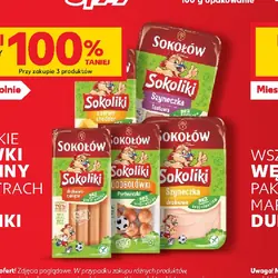 Sokołów Sokoliki