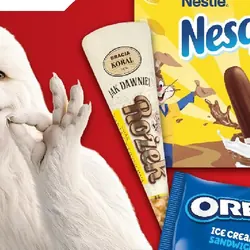 Lody Koral Jak Dawniej Rożek