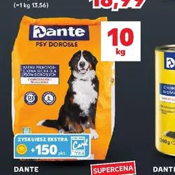 Dante sucha karma dla psów