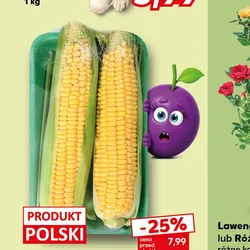Polska kukurydza