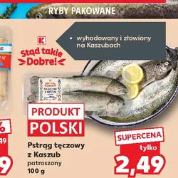 Pstrąg tęczowy z Kaszub patroszony