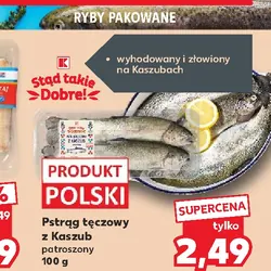 Pstrąg tęczowy z Kaszub