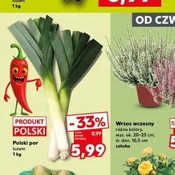 Polski por
