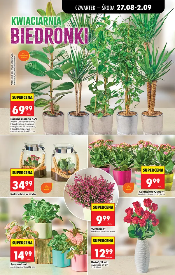 Strona 81 gazetki Biedronka
