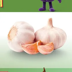 Czosnek lub Czosnek Polski
