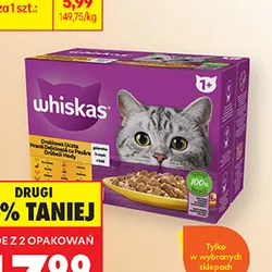 Karma dla kota w saszetkach Whiskas