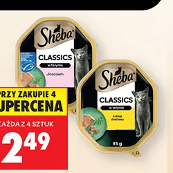 Karma dla kota Sheba