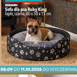 Sofa dla psa Ruby King