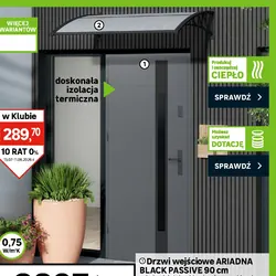 Drzwi wejściowe ARIADNA BLACK PASSIVE