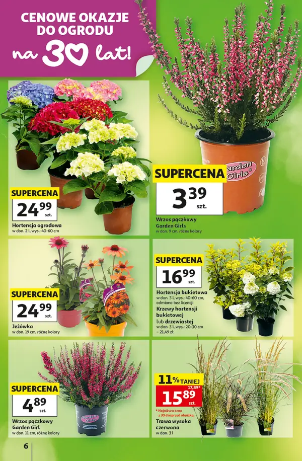 Strona 6 gazetki Auchan
