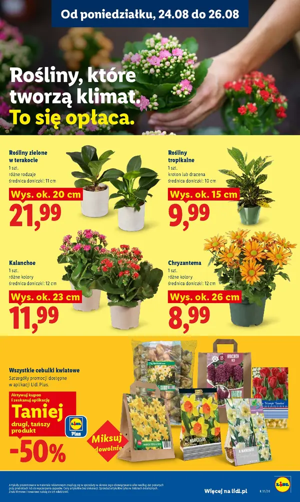 Strona 83 gazetki Lidl