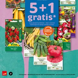 Wszystkie nasiona Vilmorin Garden