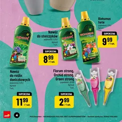 Doniczka Begonia, średnica 25 cm