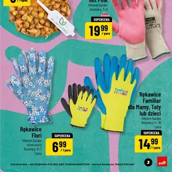 Cebulki grupa cenowa 2