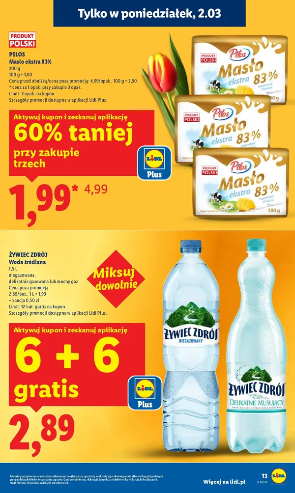 Strona 13 gazetki Lidl